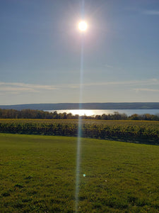 Heart of the Finger Lakes