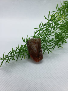 Botswana Agate Pendant