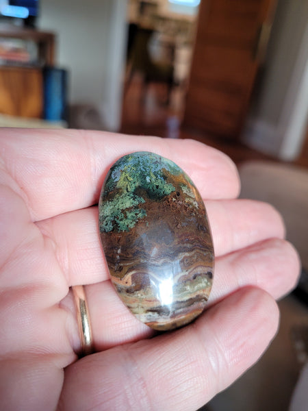 Picture Jasper