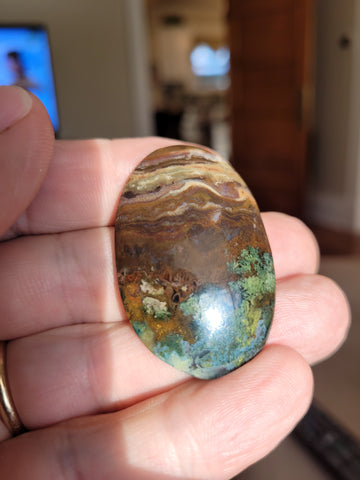 Picture Jasper